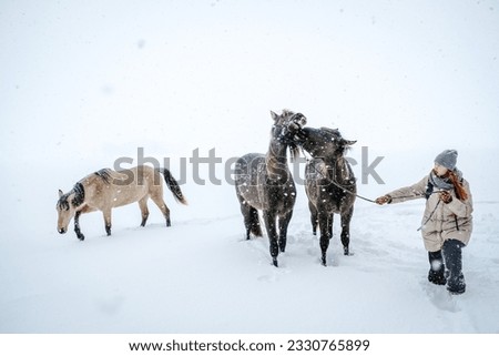 Girl and horses walking outdoors in snowfall in a winter day. Selective focus