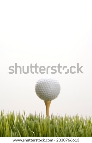 Studio shot of golf ball resting on tee in grass.