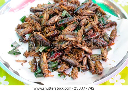 Fried Crickets Sold in the Market