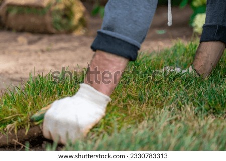 View of unrecognizable gardener fixing sod on field of backyard. Worker laying roll lawn in the garden. Royalty-Free Stock Photo #2330783313