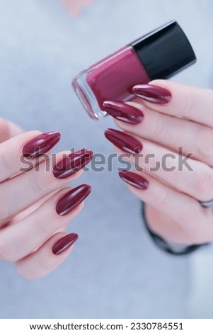 Female hands with long nails and dark black red nail polish