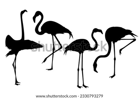 Hand Drawn Flamingo Silhouette Set Vector Illustration.