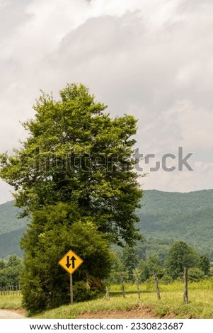 a yellow diamond two way traffic sign sits in front of a lone hardwood tree at the corner of a ranch property where livestock go to pasture in the valley, surrounded by rolling hills on a cloudy day
