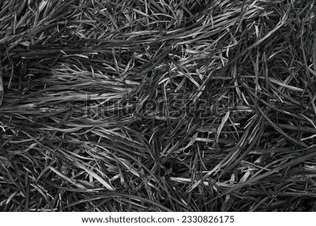 close up top view of burnt straw