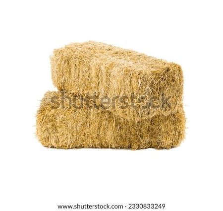 single rice straw  on a white background suitable for editing