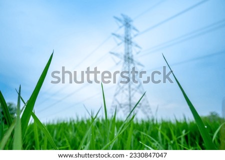 Low Angle view, The green Paddy with High Voltage electric pylon and electric wire, Ant View Royalty-Free Stock Photo #2330847047