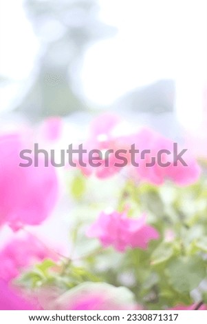 Close up of a bunch of bright colourful flowers