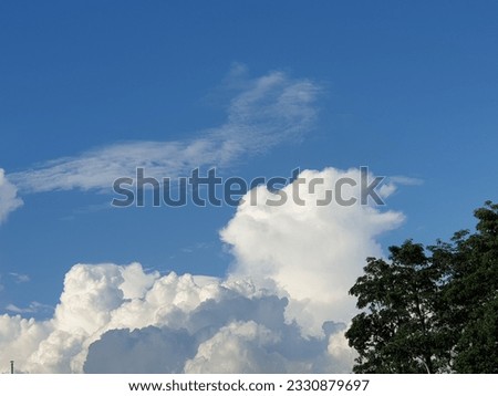 The blue sky and white clouds are a comfortable and happy picture, and the big tree is the big umbrella of nature, which makes the mood relaxed and happy, and the world is peaceful