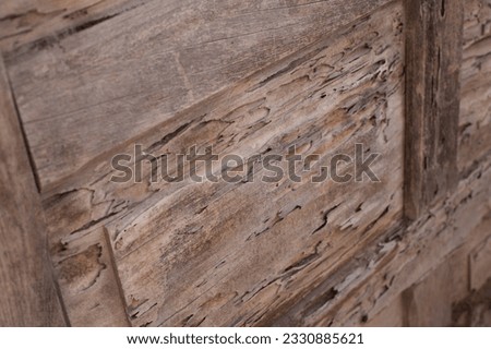 Photograph of wood texture of moth-eaten and chopped wood. Concept of backgrounds and textures.