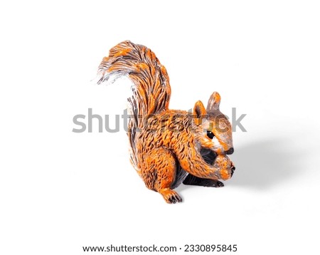 Miniature squirrel eating isolated on white