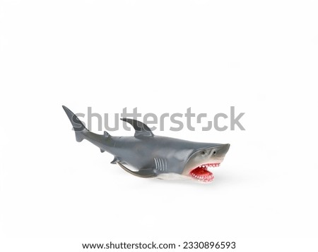 Miniature white shark isolated on white