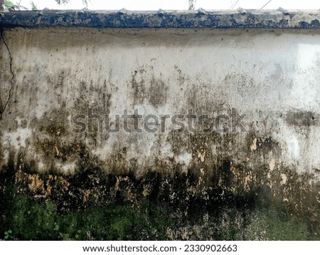 Old white dirty mossy wall texture background outer wall Royalty-Free Stock Photo #2330902663