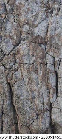 photo of surface texture of mountain rock used to resist abrasion on the beach.