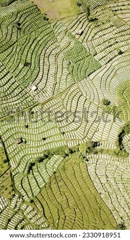 farm fields like mosaic pictures