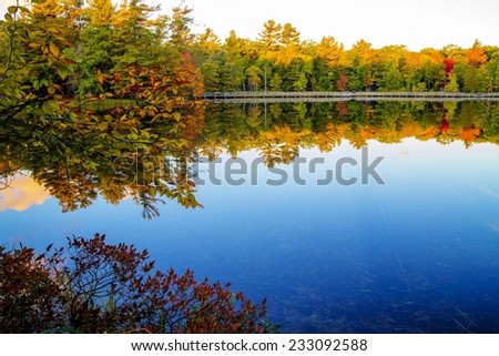 Autumn Lakeshore. Autumn colors illuminate the lakeshore along a wooden bridge.  Royalty-Free Stock Photo #233092588