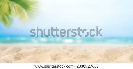 Beautiful wide paradise beach with golden sand and palm leaves in blur. Summer natur banner.