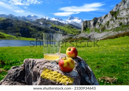 Glass of natural Asturian cider made from fermented apples with apples and view on Covadonga lake and tops of Picos de Europa mountains, Spain