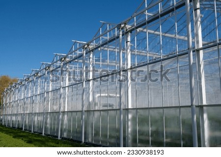 All seasons fresh vegetables, fruits and flowers, agriculture in Netherlands, big modern greeenhouses in Westland, exterior view