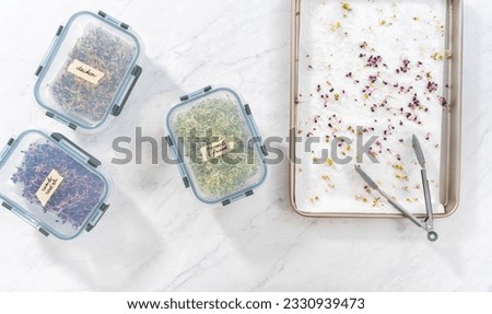 Day 6. Flat lay. Packaging freshly harvested organic sprouts into a glass container lined with paper towels. Royalty-Free Stock Photo #2330939473