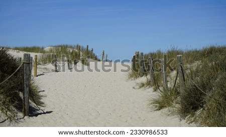 Polish moving dunes by the sea