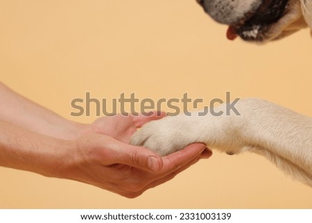 Dog giving paw to man on beige background, closeup Royalty-Free Stock Photo #2331003139