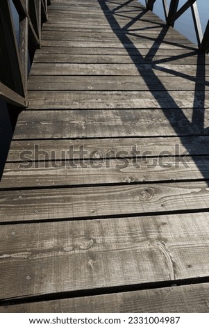 walkway over the lake in Torre del Lago Puccini Italy. High quality photo