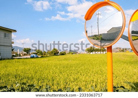 Country organge mirror and green plant Royalty-Free Stock Photo #2331063717