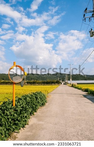 Country organge mirror and green plant Royalty-Free Stock Photo #2331063721