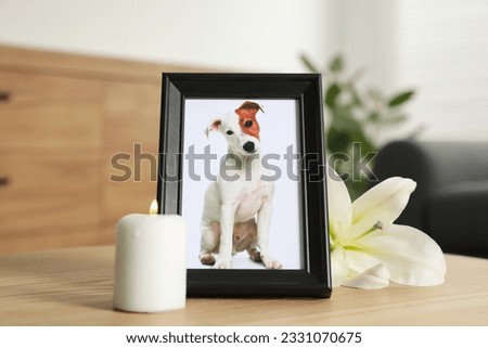 Pet funeral. Frame with picture of dog, burning candle and lily flower on wooden table indoors Royalty-Free Stock Photo #2331070675