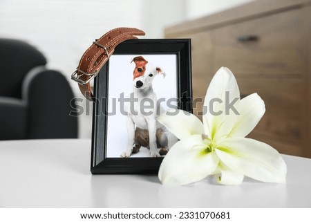 Frame with picture of dog, collar and lily flower on white table indoors, closeup. Pet funeral