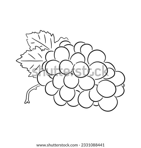 Grape doodle icon. Hand drawn black sketch. Vector Illustration.