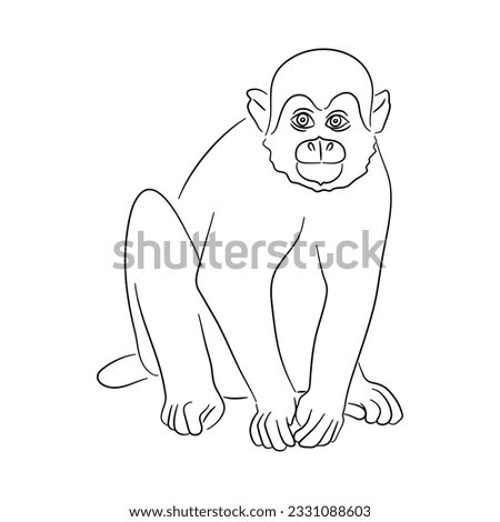 Sketch drawing of a Squirrel monkey isolated on a white background. Vector illustration. 