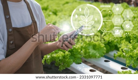 farmer holding smartphone, production vegetable control, concept agricultural product control technology, to agriculture future trading world market, track productivity, satellite for Agriculture Royalty-Free Stock Photo #2331097771