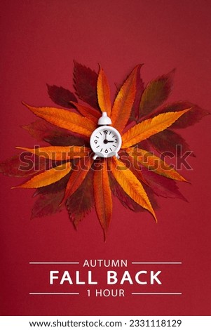 White alarm clock and orange autumn leaves on red background. Fall Back, Autumn Time Change, Daylight Saving Time Ends, Changing the time on the watch to winter time, fall backward concept.