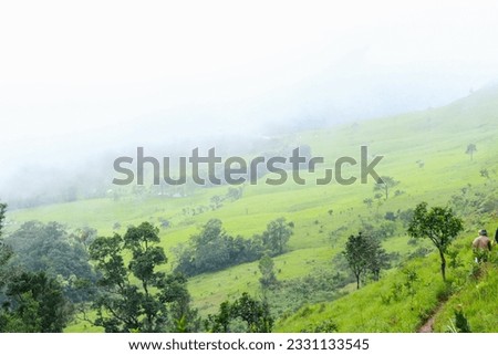 The very beauty views for travelling field at landscape mountains with hiking forest it is nice background green grass and cloud blue sky.