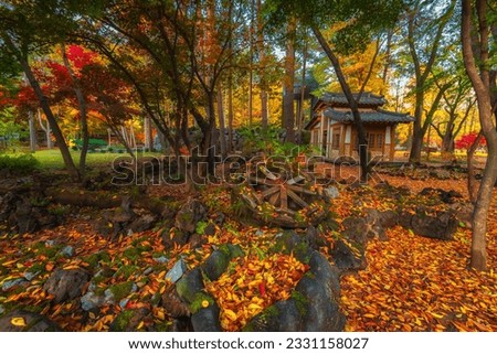old water wheel sits on a pile of rocks covered with colorful leaves. scenery autumn around Nami Island in spring best popular tourist attractions at Chuncheon-si, Gangwon-do.