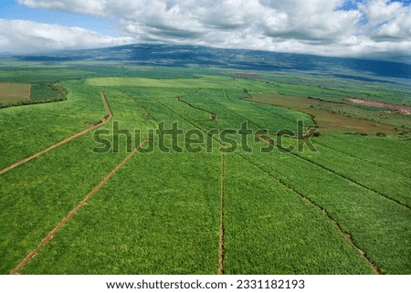 Aerial of irrigated cropland in Maui, Hawaii.