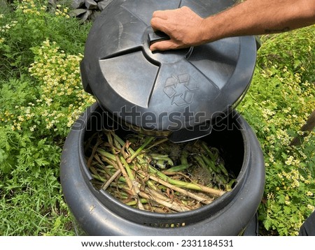 Close-up of a man's hand opening the lid of a black plastic composter filled with vegetable scraps in a home garden during the summer