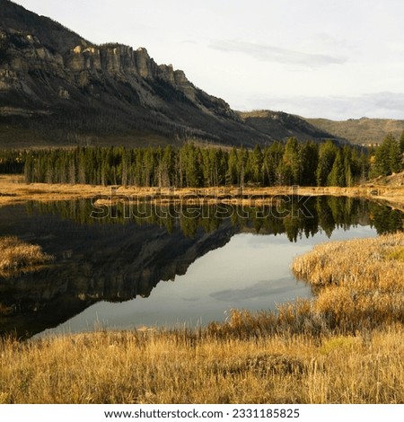 Wyoming mountains reflected in lake surrounded by golden field.