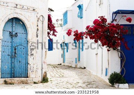 Blue doors, window and white wall of building in Sidi Bou Said Royalty-Free Stock Photo #233121958