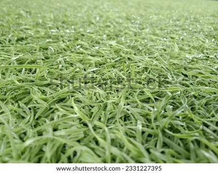 artificial grass picture for beautiful background