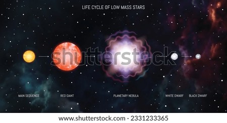 Life cycle of low mass stars. Yellow main sequence dwarf, red giant, planetary nebula, supernova, white dwarf, black dwarf. Evolution of stars astronomy infographic diagram. Royalty-Free Stock Photo #2331233365