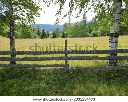A wooden fence made of slender logs adorns the mountain pasture, blending harmoniously with the surrounding natural beauty.