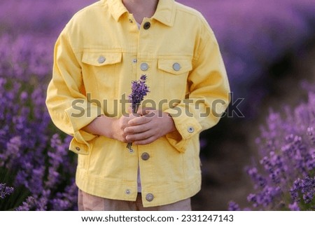 child's hands hold a bouquet of lavender close-up. Yellow jacket and purple flower beautiful picture postcard. positive details. Yellow and purple contrast. Provence france mood. aroma therapy 