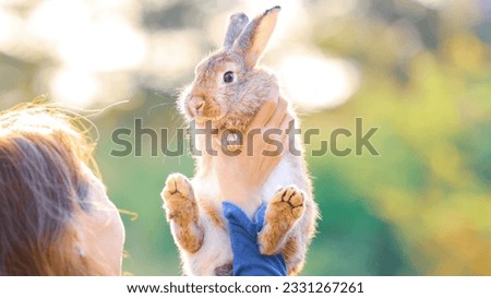 Beautiful asian woman with rabbit. happy girl holding cute fluffy easter bunny.Friendship with Easter Bunny. Spring photo with beautiful young girl with her Bunny. Girl is holding a cute little rabbit