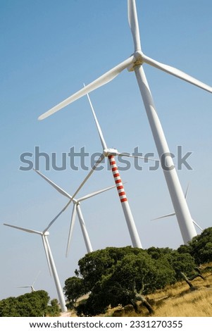 environmental conservation- wind turbines in the field