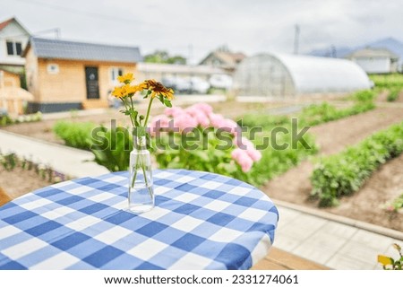 Table with flowers in a vase. Flower field on the sunny morning. Beautiful flower seedlings growing in the soil at the garden. Gardening hobby concept.