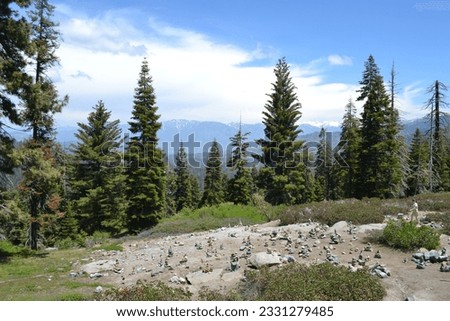 Scenic forested areas in Northern California 