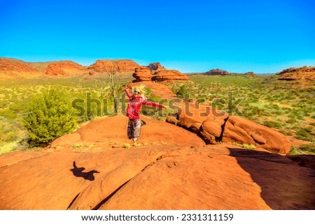 Kalaranga Lookout in Finke Gorge National Park, Northern Territory, Central Australia. Active woman jumping atop of hiking. Aerial view of red sandstone amphitheatre. Red Centre Outback. Royalty-Free Stock Photo #2331311159