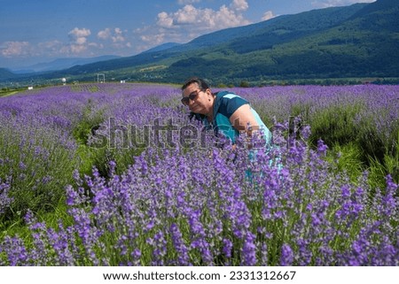 Lavender panorama over mountains, woman among lavender field,